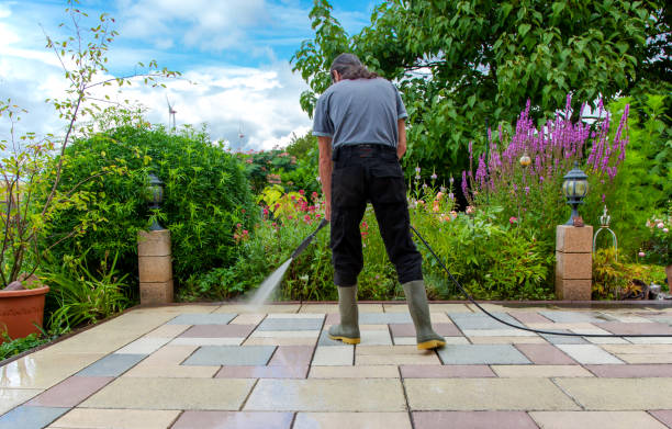 Best Sidewalk and Walkway Cleaning  in Lone Jack, MO
